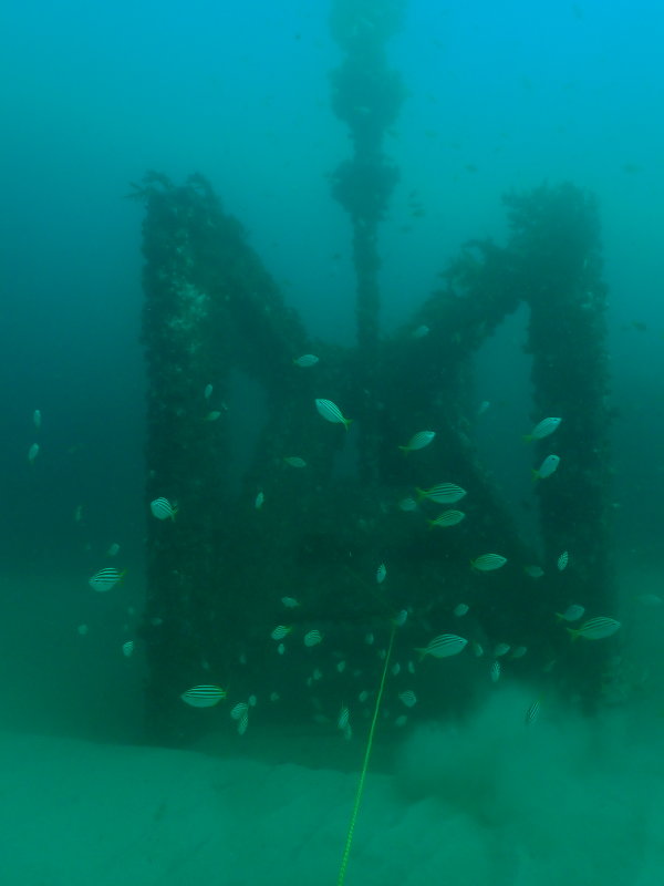 JD Reef